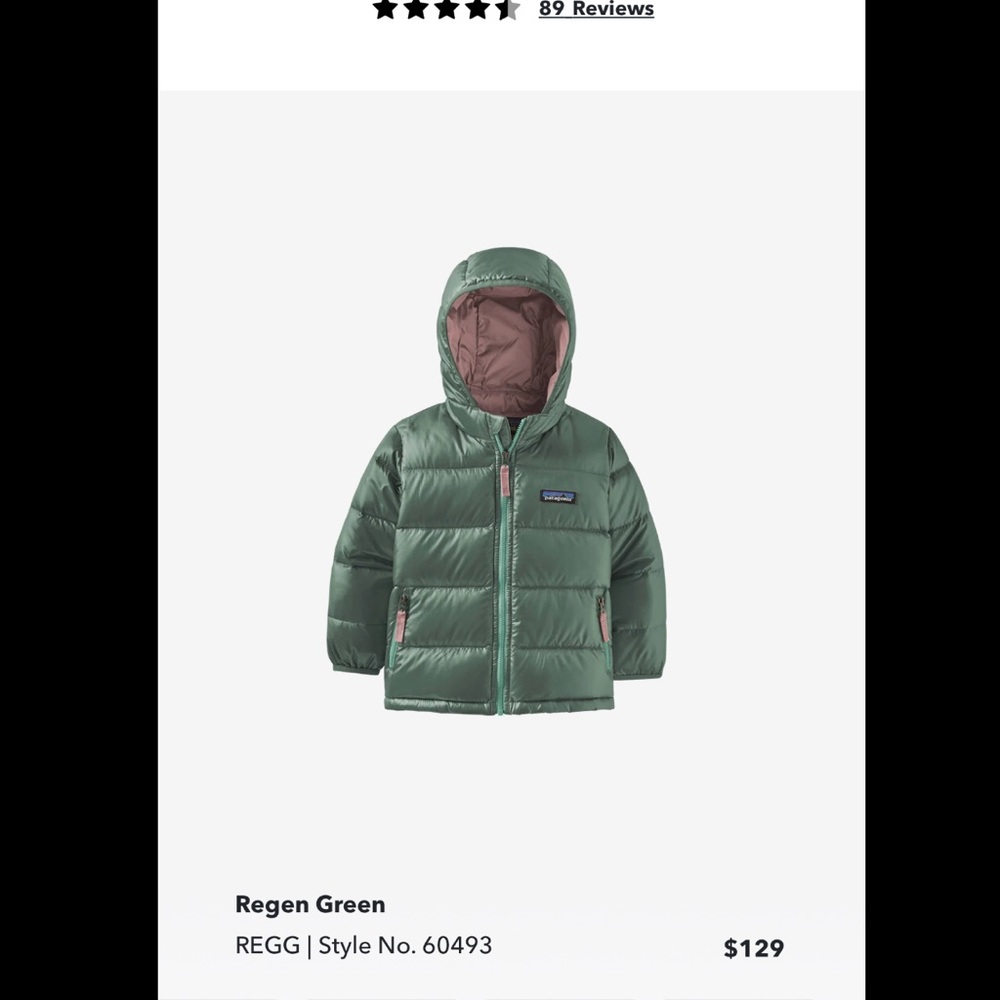 Patagonia Hi-loft down sweater hoodie